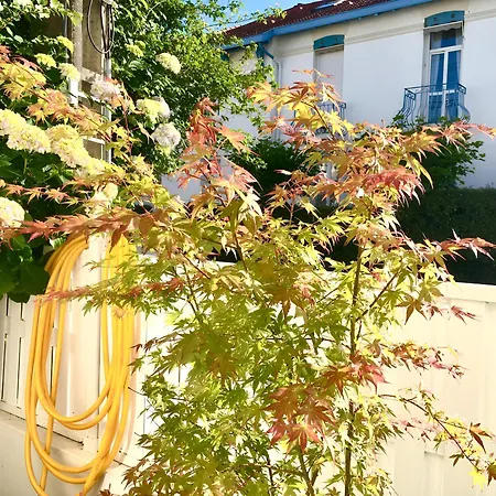 New Very Big Wonderful T3 -5 Min Walking From ! *