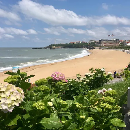 Apartamento New Very Big Wonderful T3 -5 Min Walking From ! Biarriz