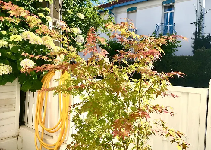 New Very Big Wonderful T3 -5 Min Walking From ! *