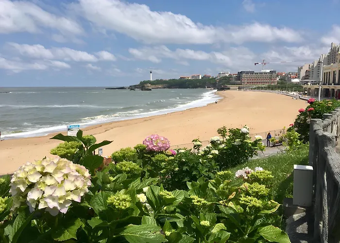 Appartement New Very Big Wonderful T3 -5 Min Walking From ! Biarritz